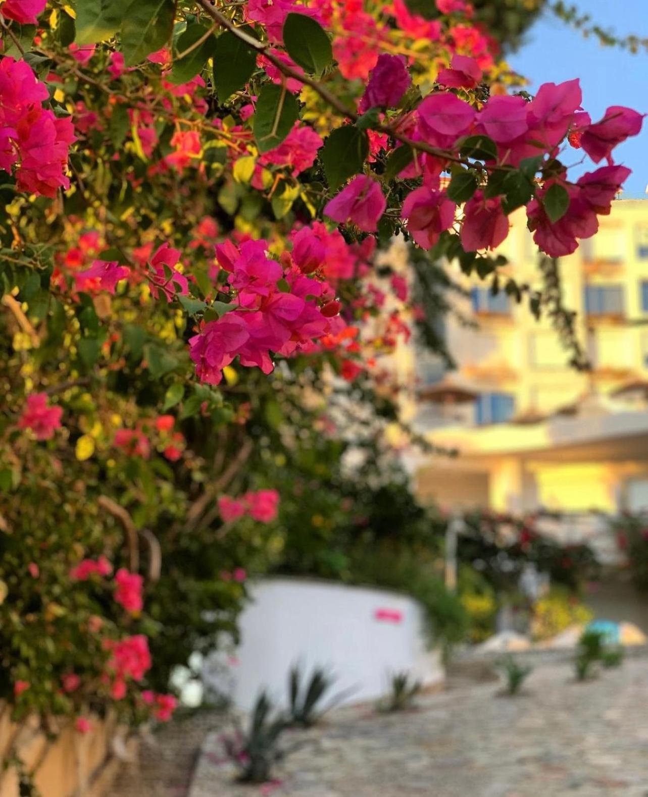 Bellavista Apartments Bougainville Bay Sarandë Eksteriør billede